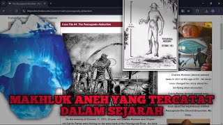 APAKAH BENAR-BENAR ADA? | Humanoid Encounters Iceberg part 3