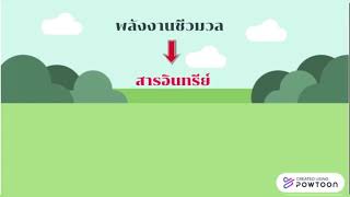 พลังงานชีวมวล