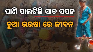 ପାଣି ପାଲଟିଛି ସାତ ସପନ | ଚୁଆ ଭରଷା ରେ କଟୁଛି ଜୀବନ@jagrutilivemedia #odianews #specialreport