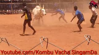 Jallikattu | சிறந்த காளையும் சிறந்த வீரன்கள் மோதின எப்படி இருக்கும் Manjuvirattu 2017