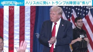 米大統領選まで3カ月　ハリス氏に勢い トランプ氏陣営は焦り(2024年8月5日)