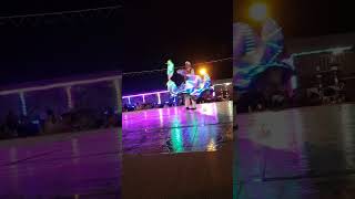 Tanoura dance show