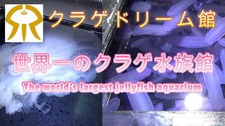 「加茂水族館」Part 1　60種類以上のクラゲを展示する世界一のクラゲ水族館をご紹介しますね！The world's largest jellyfish aquarium!