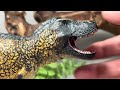 Eofauna Tyrannosaurus rex “Sue” Review!! 135 Scale  New 2024