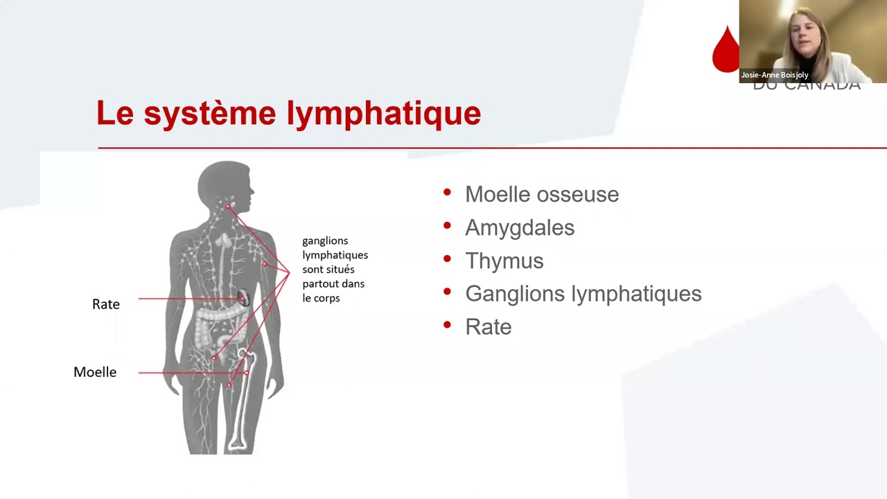 Comprendre Les Lymphomes Non Hodgkiniens - YouTube