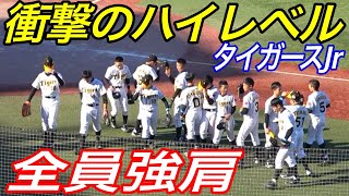 ちょっと、、外野の肩が強すぎんか？驚きの上手さを見せる阪神タイガースJrシートノック！！