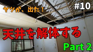 【山林開拓】#10「天井を解体する Part-2」【リフォーム編】