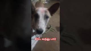 கிட்ட வந்து பார்