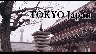 Tokyo, Japan Trip April 2017