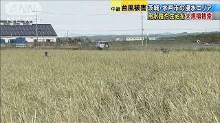 水戸市の浸水エリア　用水路や住宅など大規模捜索(19/10/16)