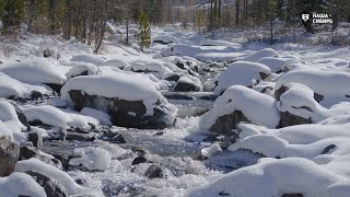 Наша Сибирь 4К: Хрустальная вода Алтая