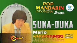 MARIO - SUKA DUKA | Pop Mandarin Indonesia Populer#mandarindo