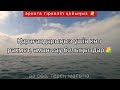 АДАМНЫҢ ӨЗГЕРГЕНІН МЫНА ЖАҒДАЙДА БІЛЕСІҢ... Терең мағыналы сөздер