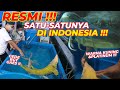 IKAN ACIPENSER SUPER LANGKA !!! GOKIL !!! COCOK GAK DI SUPER MEGATANK???