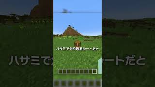 一番簡単で一番難しいRTA？！【マイクラ豆知識 解説 裏技】