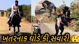 ખતરનાક ઘોડા 🐴 😲