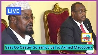 WAR CAJIIB AH; Gaas Oo Qaartey Go,aan Ka Yaabiyey Reer Puntland Iyo Axmed Madoobe Oo Sameeyey Arin