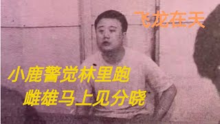 第二百回 小鹿警觉林里跑，雌雄马上见分晓