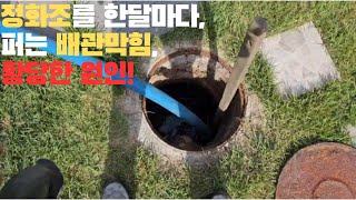 #정화조막힘 한달마다 정화조를 퍼는 이유!