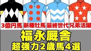 【POG2024-2025】福永厩舎の強力2歳馬4選【アスクセクシーモア/ルージュレアリーズ】