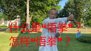 太极拳练习的过程中，什么是“悟拳”？怎样“悟拳”？中国传统武术太极、形意、八卦三大内家拳之首的太极的奥秘是什么？