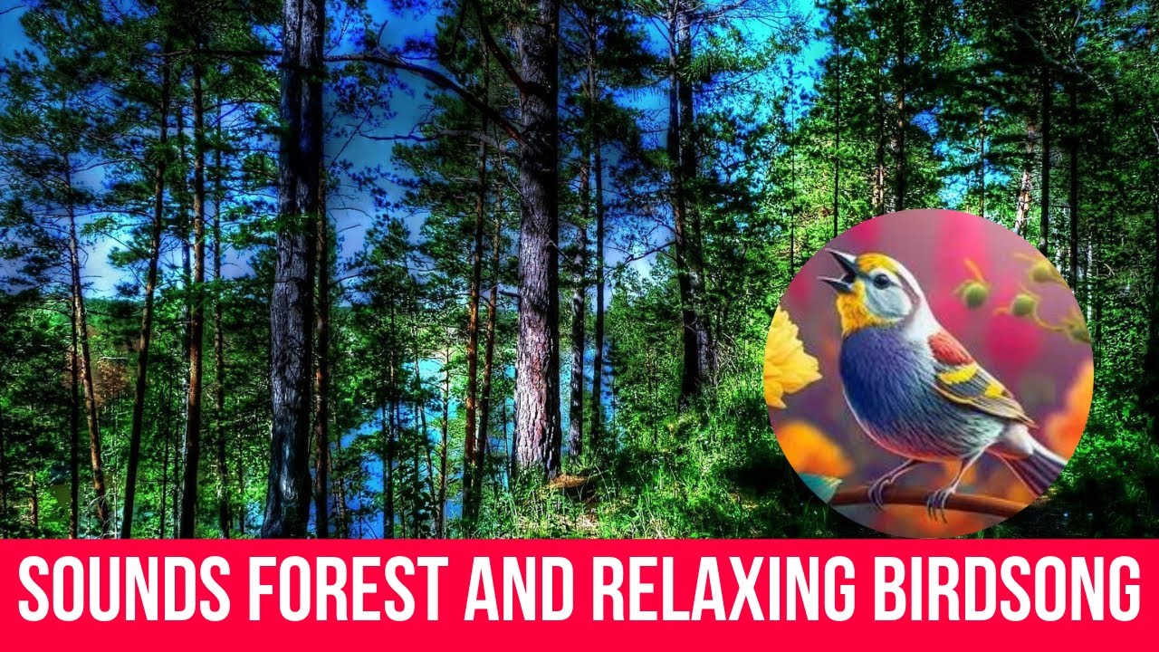 Relaxing Sounds Nature Singing Forest Birds Soothing Bird Chirps For