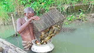 নদীতে বৃত্তি দিয়ে টেংরা মাছ ধরার অসাধারণ কৌশল।