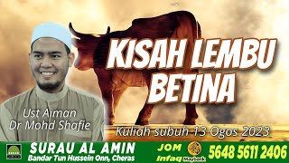 Kisah lembu Betina | Ust Aiman Dr Mohd Shafie