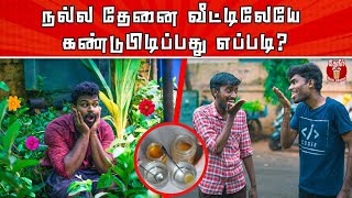 Easy way to find Pure Honey in home | சுகர் உள்ளவர்கள் தேன் குடிக்கலாமா? | How Honey became Medicine