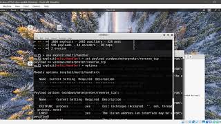 lab4 exploiting client side vuln and establish a vnc session
