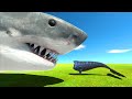 Aquatics Battle - Baby Bloop VS Giant Megalodon - Animal Revolt Battle Simulator