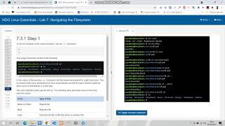 NDG Linux Essentials - Lab 7: Navigating the Filesystem
