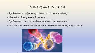 Уроки для 10 Ф класу Диференціація  Старіння клітин