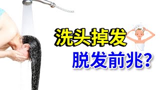 【毛发知识】洗头大量掉发是脱发的前兆吗？出现以下三种情况就要注意了！雍禾植发|陶彦君医师