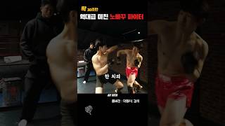 역대급 미친 파이터 등장 | All-time Crazy MMA Fighter Appears