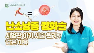 난소낭종 비수술  경화술이 난자 채취하는 시험관 아기 시술과 같다?