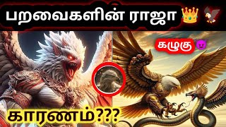 Eagle ஒரு APEX😈PREDATOR ஆ😱பறவைகளின் ராஜா இது தான்🦅😵#facts #trending #viral #bird #animals #shorts