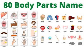Body parts name with Pictures | 80 शरीर के अंगो के नाम | Learn Hindi and English words with Meaning