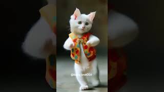 baby love  meri phupho song cat dance #baby #cutebaby #cat #kitty  #viral