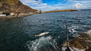 THIS ATLANTIC TARPON WAS MASSIVE | Dutch Caribbean 2023 |