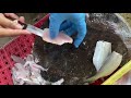 easy to make fish fish that has bones removed leaving only the meat. fishing fish seafood