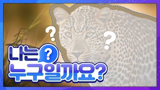 자연관찰 나는 누구일까요?ㅣExploring Nature Who am I? ㅣ표범ㅣLeopard