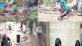 ମୋ ଚାଉଳିଆଗଛକିଏ ହାଣିଦେଲାଲୋ/ଆଜି କେତେଦିନ ପରେ ବଳିଙ୍ଗିମାଛ ତରକାରୀ କଲି/