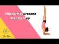 Pincha Mayurasana Step by Step Tutorial | Yoga for Beginners