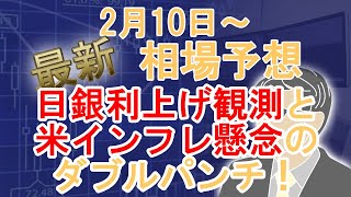 【最新相場予想(2月10日～)】雇用統計は無事通過するも、ミシガン大調査で急落。また日銀利上げ観測で日本株さらに下げる！