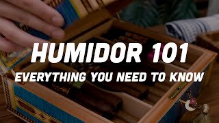 Humidor 101: Everything You Need to Know