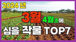 3월에 심는 작물 TOP7 - 3월에 4월에 심을 작물로 주말농장 텃밭에 심는 밭작물 농사정보, 농사초보도 가능