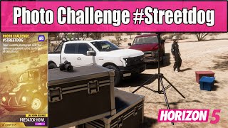 Forza Horizon 5 Photo Challenge #Streetdog - South East of Lago Blanco