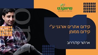 שיווק באינטרנט: קידום אורגני ע\