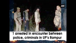 1 arrested in encounter between police, criminals in UP’s Rampur - Uttar Pradesh News